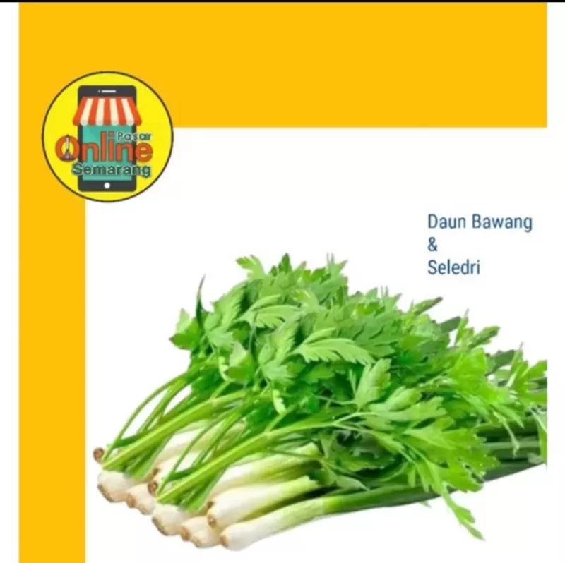 Daun Bawang Mix Seledri  / onclang seledri